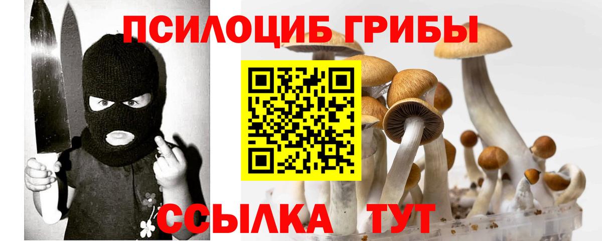 Россошь  Галлюциногенные грибы Cubensis  Псилоцибиновые грибы Psilocybine cubensis  купить наркоту  Вход с VPN 
